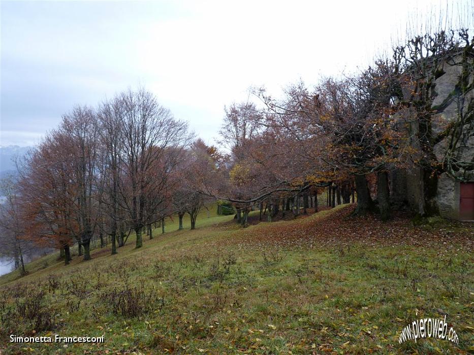 06 INTORNO D'AUTUNNO.JPG